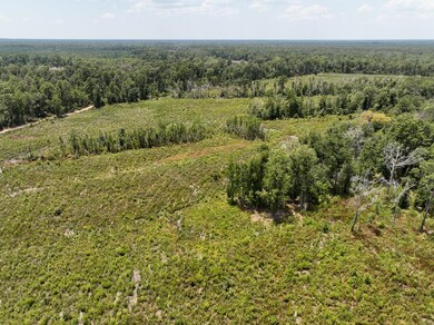 1 County Road 4085, Belgrade, TX 75928 - photo 7