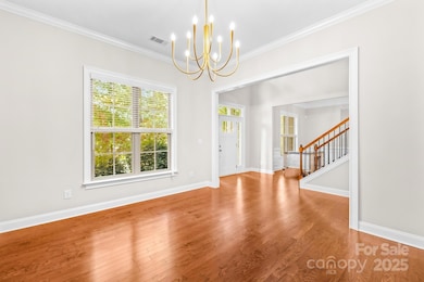 252 Cove Creek Loop, Mooresville, NC 28117 - photo 6