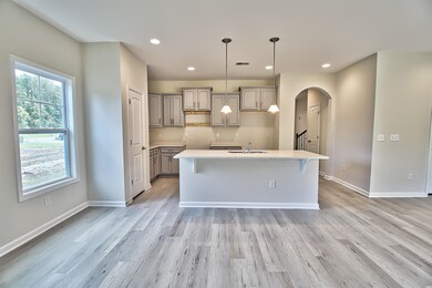 232 Red Maple Loop unit Lot 12 Julie B, Longs, SC 29568 - photo 6