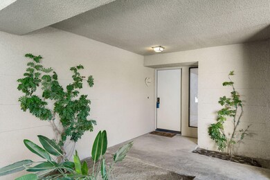 9-web-or-mls-DDBoxthorn1120_009