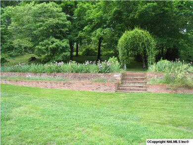 Mature flowers in the backyard
