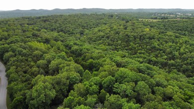 25 ACRES FOR SALE TANEY CO