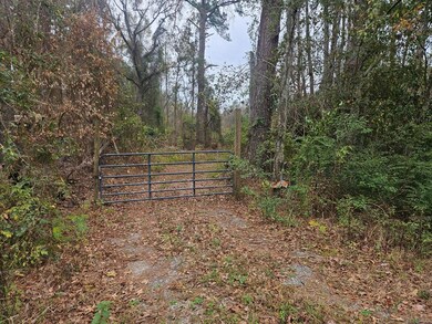 4126 Grooverville Rd, Quitman, GA 31643 - photo 2