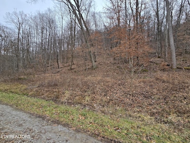 lot 5 Apache Rd, Jamestown, TN 38556 - photo 7