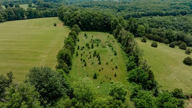 1366 Old Waynesburg Rd, Eubank, KY 42567 - photo 3