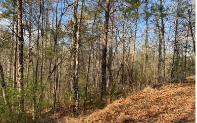 L1460 Mallory Cir, Ellijay, GA 30540 - photo 4