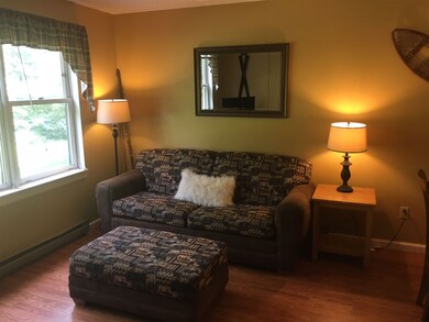 28 Packards Rd unit 108, Waterville Valley, NH 03215 - photo 3