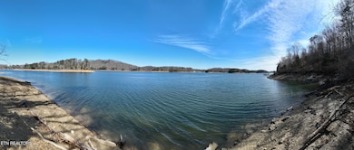 0 S Cove Rd unit 1293679, Maynardville, TN 37807 - photo 2