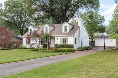 Large beautiful yard