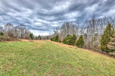 OPEN FIELD NEAR HOME SITE