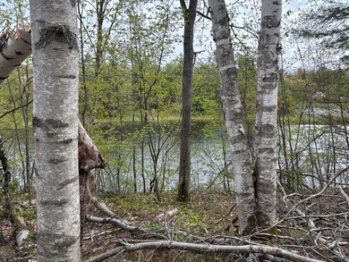 Waterfront Iroquois