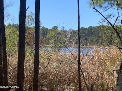 24 Bailey Pointe Rd, Belhaven, NC 27810 - photo 6