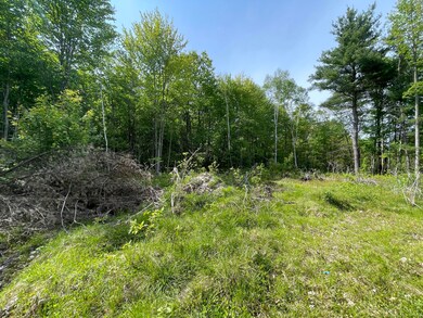 Partially Cleared Area