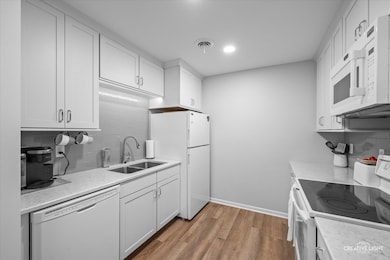 450 W Downer Place unit 4C, Aurora, IL 60506 - photo 4