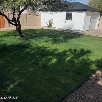 back yard garage