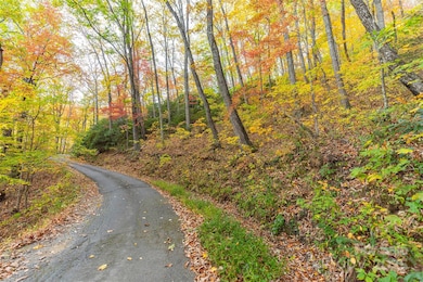 TBD Summer Haven Rd unit 1-6, Swannanoa, NC 28778 - photo 2