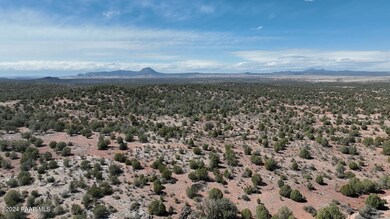 42374 Conwaden Rd, Ash Fork, AZ 86320 - photo 5