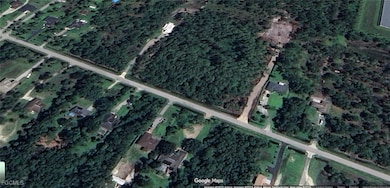 524 45th Ave NE, Naples, FL 34120 - photo 4