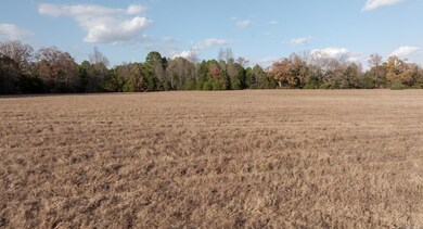 279 E Jones Rd, Bald Knob, AR 72010 - photo 5