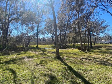 0 River Bend Dr unit 69791859, Brazoria, TX 77422 - photo 7