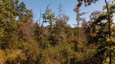 000 A Hwy, Thayer, MO 65791 - photo 6