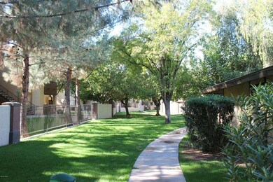 Lush Green Grass