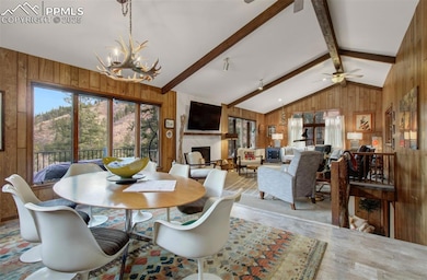 9835 Mesa Rd, Cascade, CO 80809 - photo 4