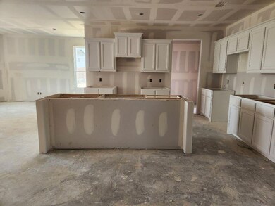 809 Taliaferro Trail, Springtown, TX 76082 - photo 3