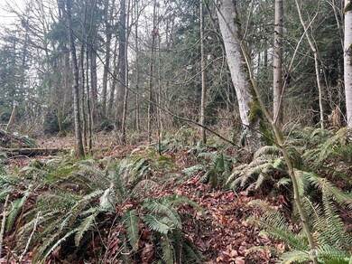 0 XX Valley View Rd, Sedro Woolley, WA 98284 - photo 3