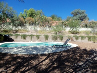 Huge Backyard
