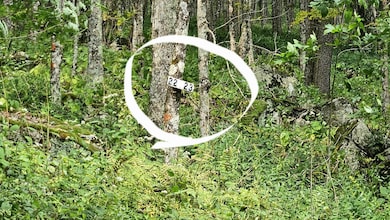 0 Lot 22 Eagles Nest unit 25-854, Snowshoe, WV 26209 - photo 6