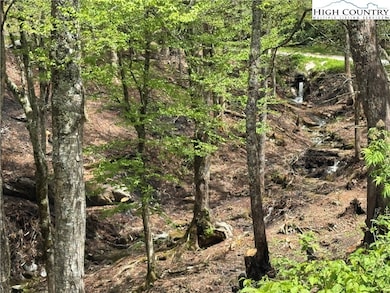Lots 37 and 38 Snow Ridge Rd, Banner Elk, NC 28604 - photo 2