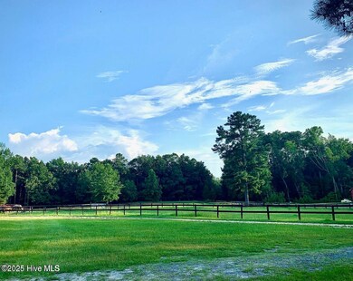 20250113174105848203000000-o