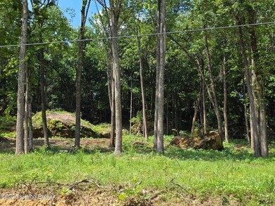 2 Cave Creek Rd, Falls of Rough, KY 40119 - photo 6