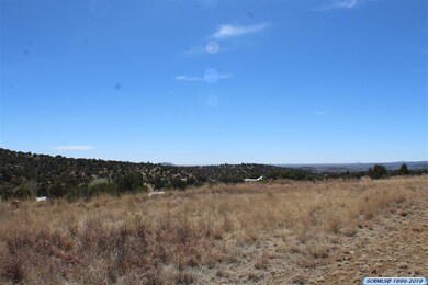 xxxx N Swan St, Silver City, NM 88061 - photo 2