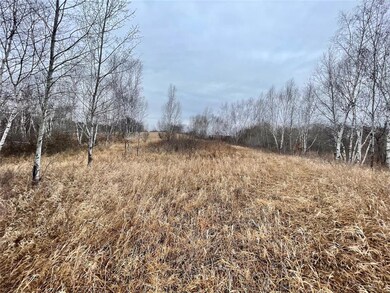 XXX 85th Avenue Ave, Dresser, WI 54009 - photo 4