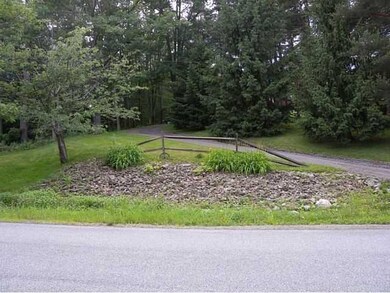 Yard/Garden. This is the garden and driveway in fr