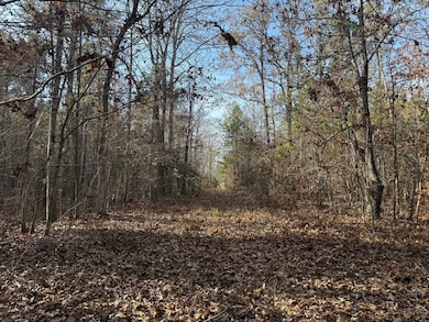 Roebuck Dr, Preston, MS 39354 - photo 5