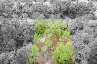 2016 Jefferson Ave, Alva, FL 33920 - photo 2