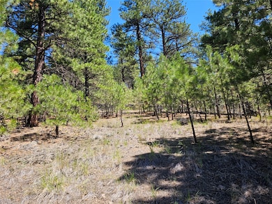 NHN Upper Sawmill Creek Rd, Cascade, MT 59421 - photo 6