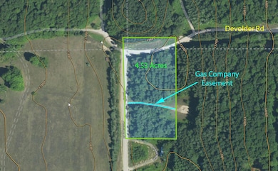 V/L Devolder Rd, Star Township, MI 49730 - photo 2