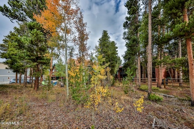 870 Ferret Ln, Fraser, CO 80442 - photo 3