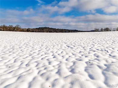 00 Hwy 61 W Outer Rd, Bowling Green, MO 63441 - photo 5