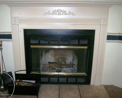 wood burning fireplace