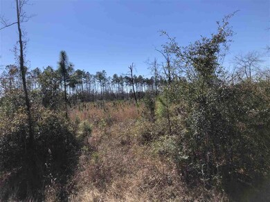 3 Crawfordville Hwy, Crawfordville, FL 32327 - photo 4