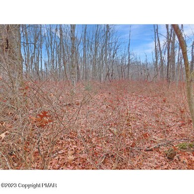 0 Chapman St, Jim Thorpe, PA 18229 - photo 4