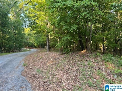 0 Davis Acres Dr unit 72 & 73 21417315, Alpine, AL 35014 - photo 3