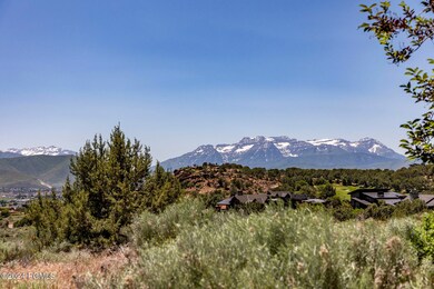 006_2884_e_brown_duck_mountain_cir004_93