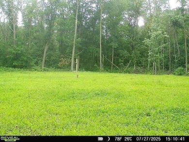 32294 93rd St, Pierz, MN 56364 - photo 6