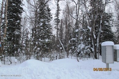 Caribou Loop Lot View 2